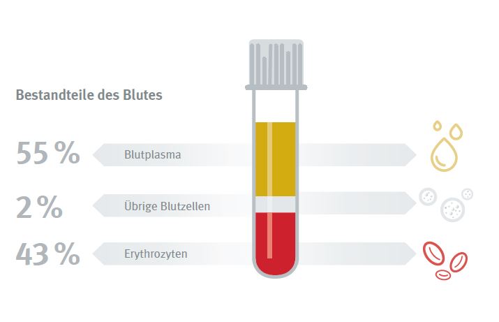 Bestandteile des Blutes Bestandteile des Blutes