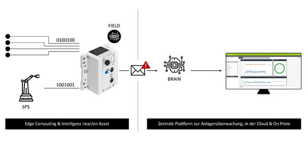 KI-Architektur aus Field und Brain